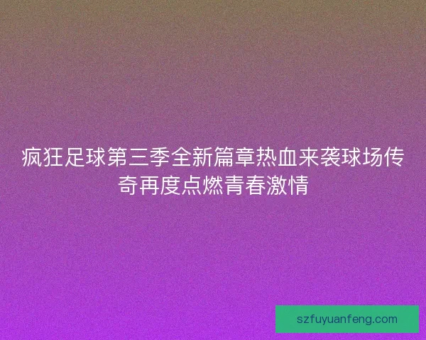 疯狂足球第三季全新篇章热血来袭球场传奇再度点燃青春激情