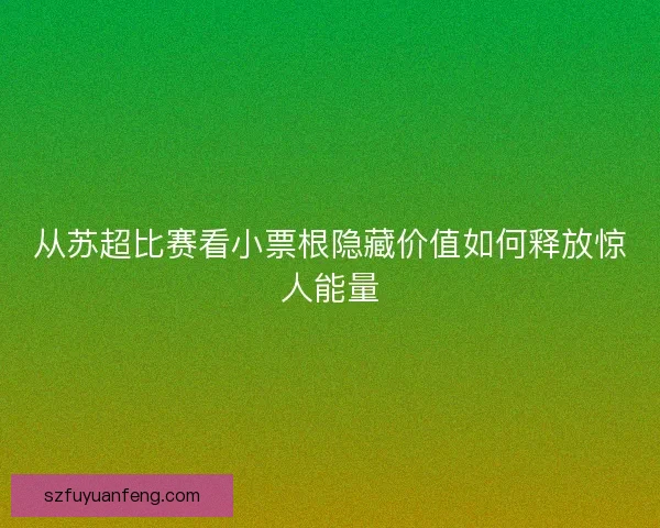 从苏超比赛看小票根隐藏价值如何释放惊人能量 从苏超比赛看小票根隐藏价值如何释放惊人能量