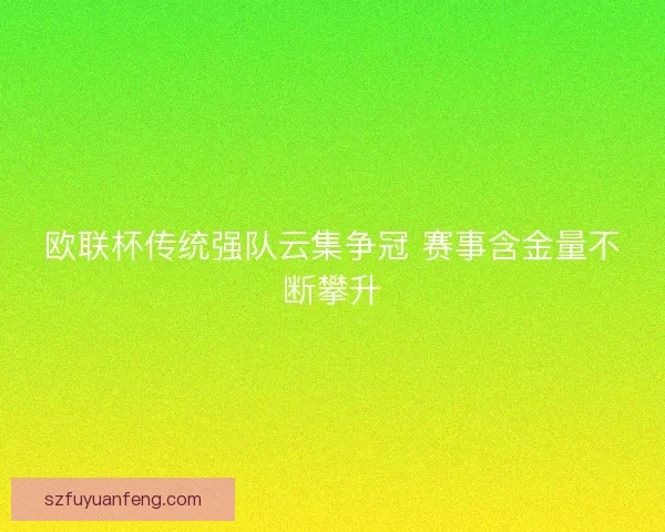 欧联杯传统强队云集争冠 赛事含金量不断攀升